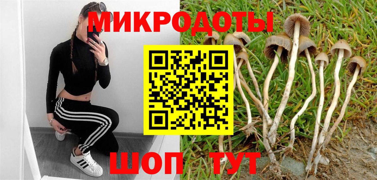 где купить   Псилоцибиновые грибы Psilocybine cubensis  Вход с VPN  Дубна 